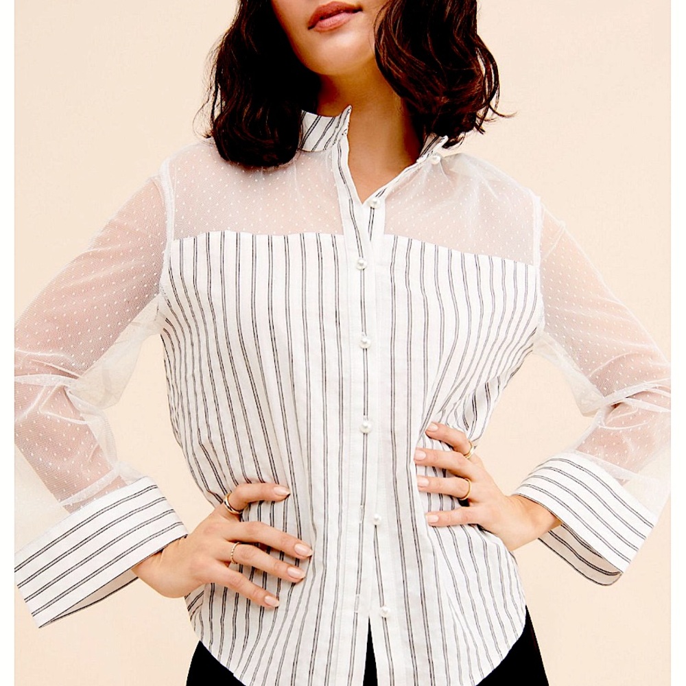 Anthropologie FrenchMauve Striped Buttondown, NEW